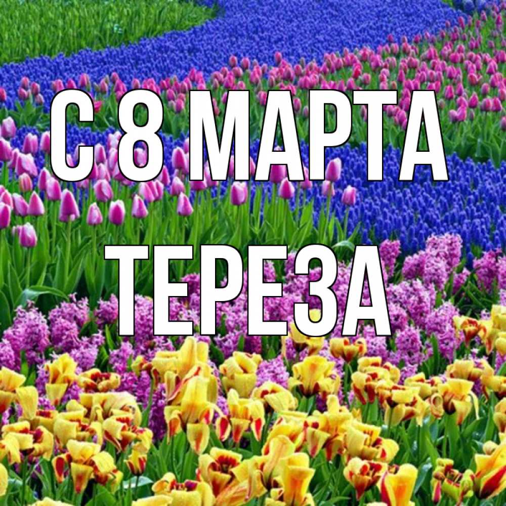 Открытка на каждый день с именем, Тереза С 8 МАРТА цветы Прикольная открытка с пожеланием онлайн скачать бесплатно 