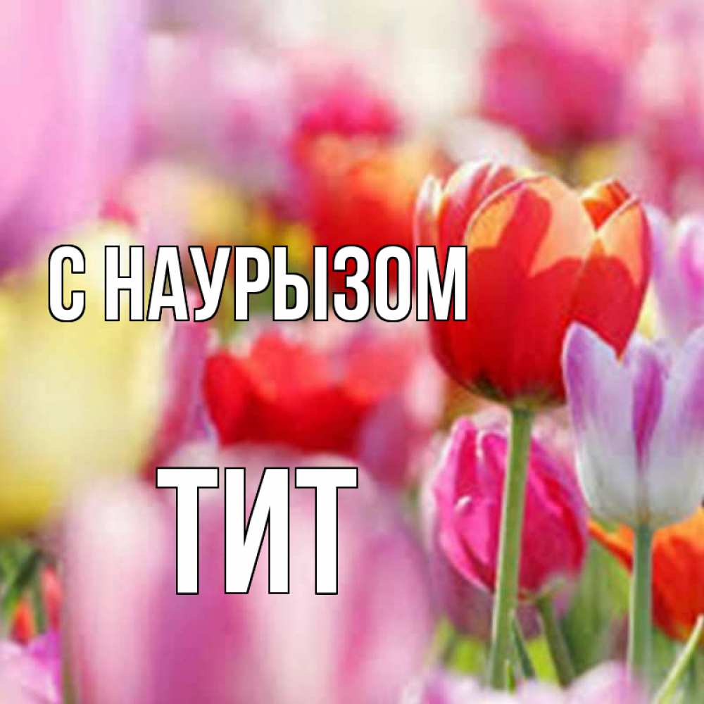 Открытка на каждый день с именем, Тит С наурызом праздник весны наурыз 67 Прикольная открытка с пожеланием онлайн скачать бесплатно 