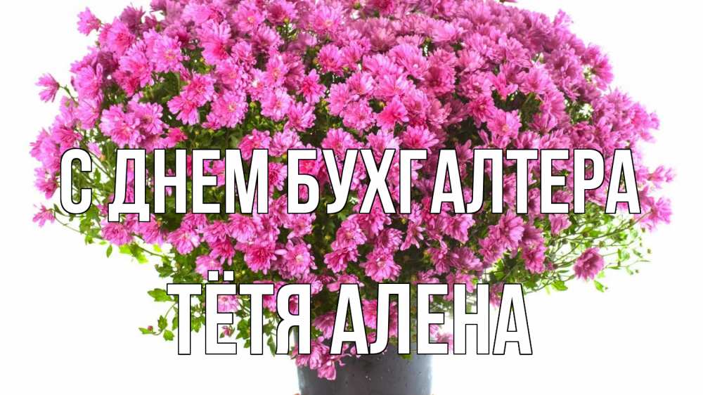 Открытка на каждый день с именем, Тётя-Алена С днем бухгалтера с днем бухгалтера Прикольная открытка с пожеланием онлайн скачать бесплатно 