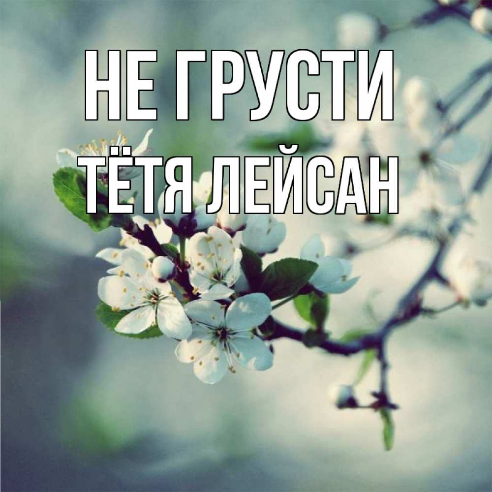 Открытка на каждый день с именем, Тётя-Лейсан Не грусти яблоня в цвету 1 Прикольная открытка с пожеланием онлайн скачать бесплатно 