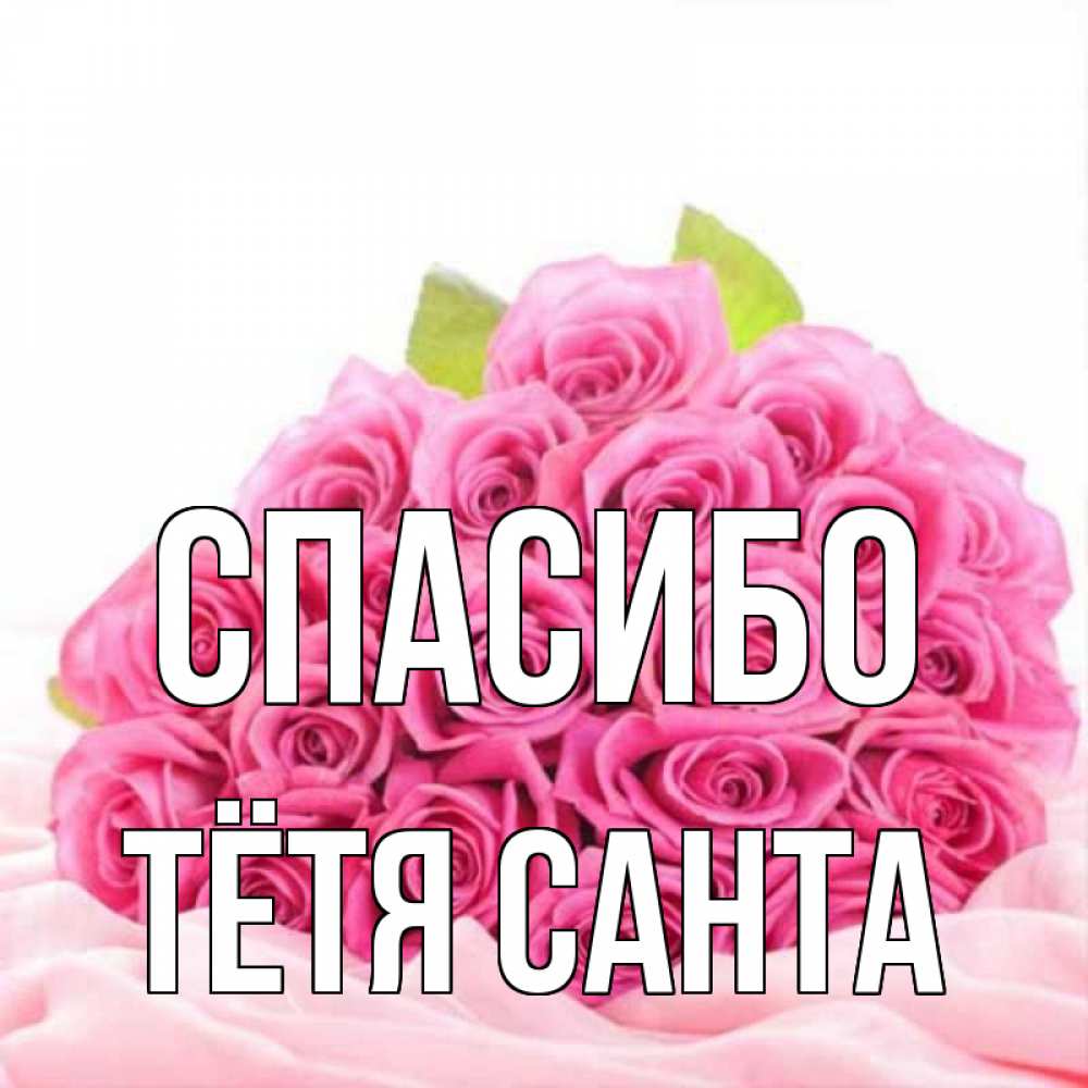 Открытка на каждый день с именем, Тётя-Санта Спасибо розовые розы с подписью Прикольная открытка с пожеланием онлайн скачать бесплатно 