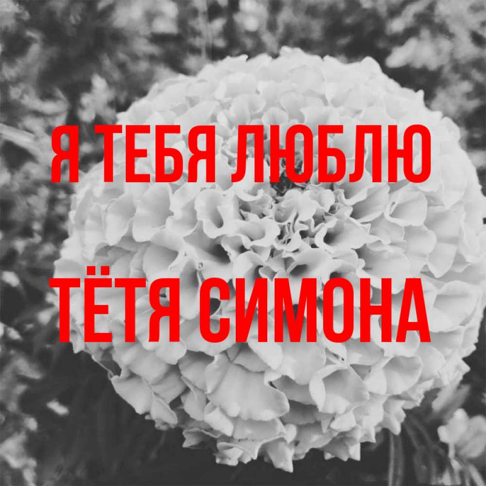 Открытка на каждый день с именем, Тётя-Симона Я тебя люблю подпись Прикольная открытка с пожеланием онлайн скачать бесплатно 