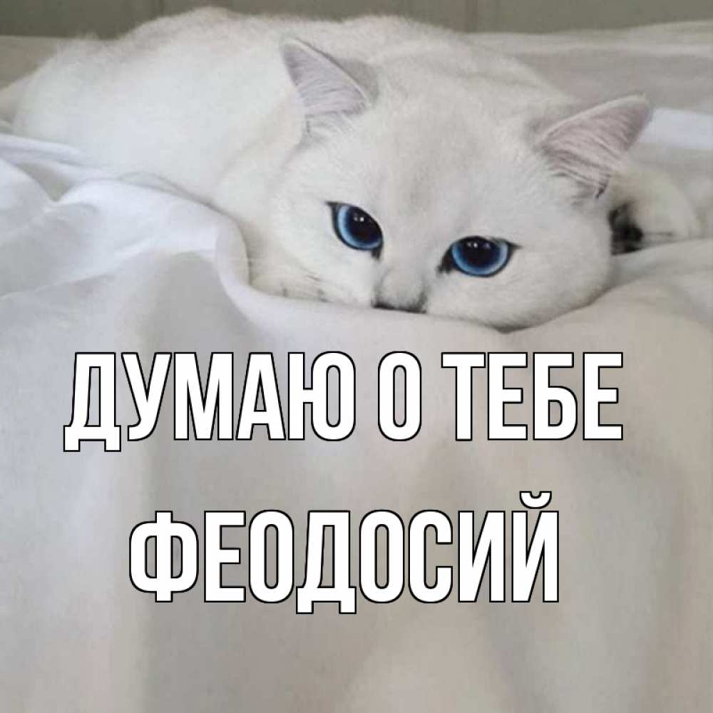 Открытка на каждый день с именем, Феодосий Думаю о тебе я очень по тебе скучаю и тоскую Прикольная открытка с пожеланием онлайн скачать бесплатно 