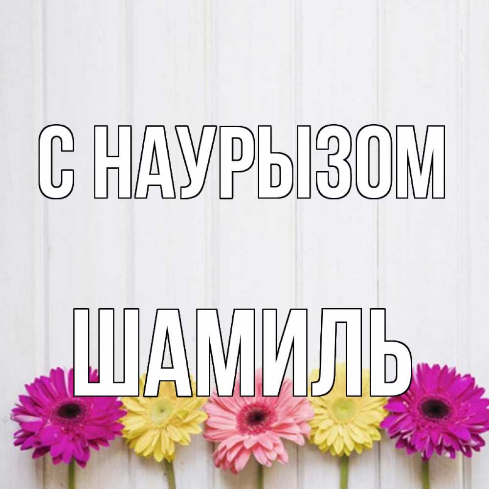 Открытка на каждый день с именем, Шамиль С наурызом женщинам 1 Прикольная открытка с пожеланием онлайн скачать бесплатно 
