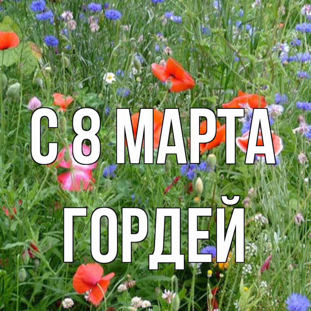 Картинка С 8 МАРТА, Гордей