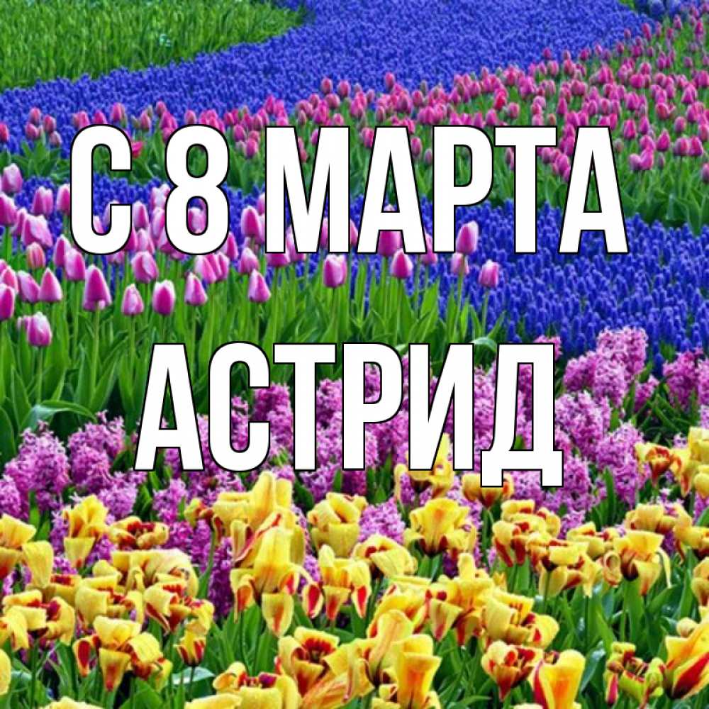 Открытка на каждый день с именем, Астрид С 8 марта цветы Прикольная открытка с пожеланием онлайн скачать бесплатно 