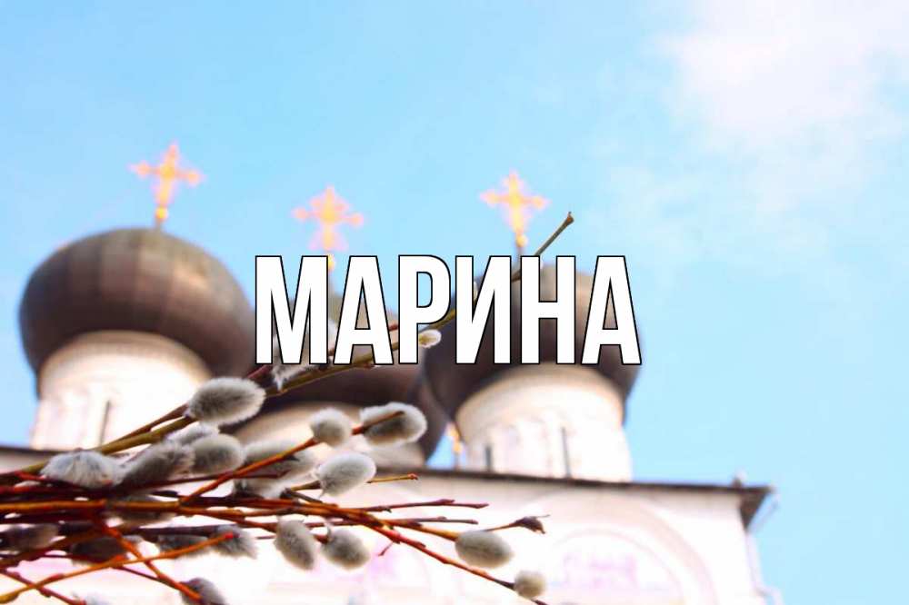 Открытка на каждый день с именем, Марина Главная верба Прикольная открытка с пожеланием онлайн скачать бесплатно 