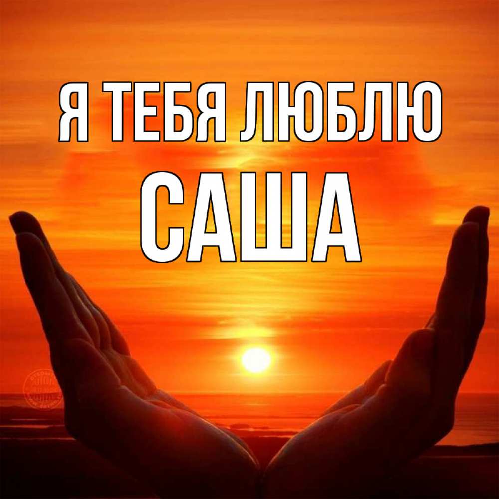 Картинка Я тебя люблю, саша