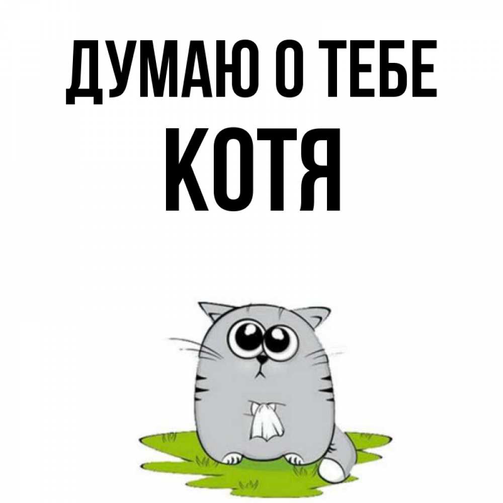 Котя имя