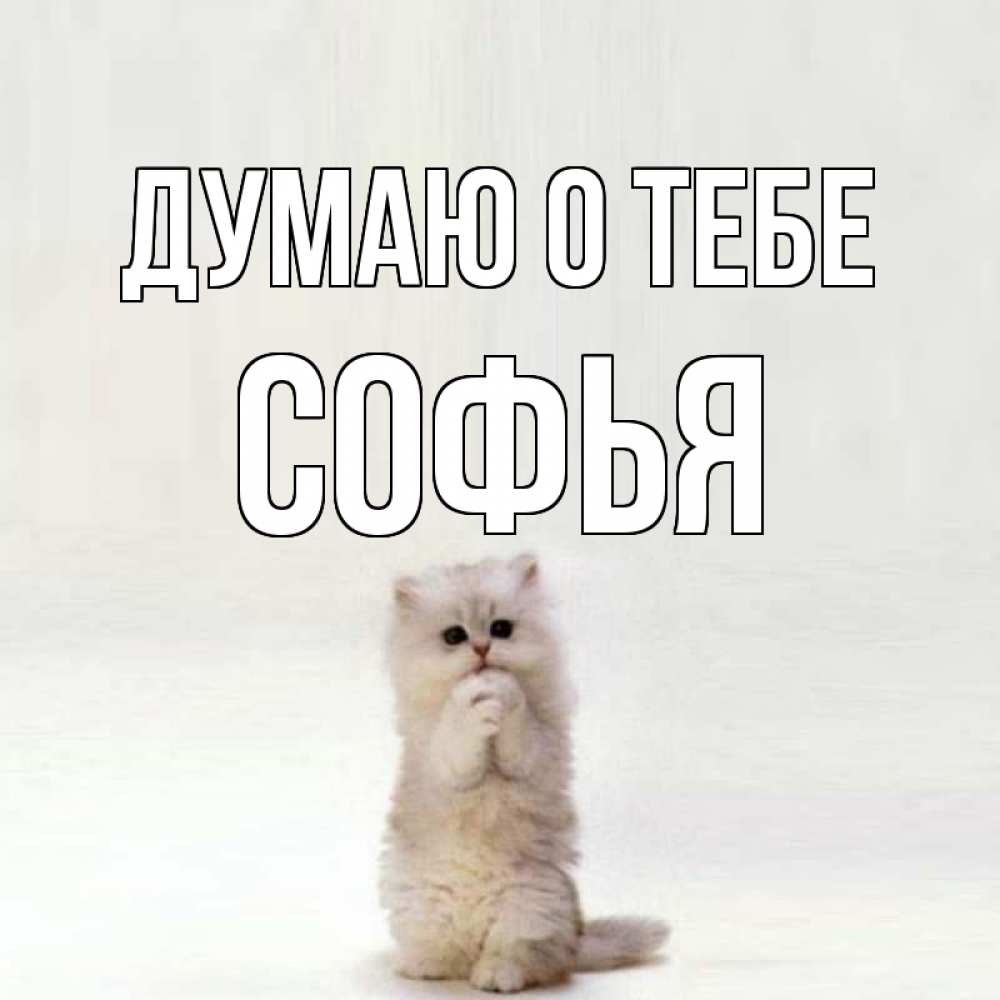 Для, картинки с именем софья смешные