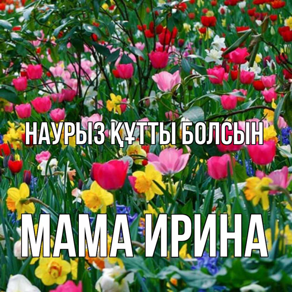 Открытка на каждый день с именем, Мама-Ирина Наурыз құтты болсын с наурызом поздравления для женщины Прикольная открытка с пожеланием онлайн скачать бесплатно 