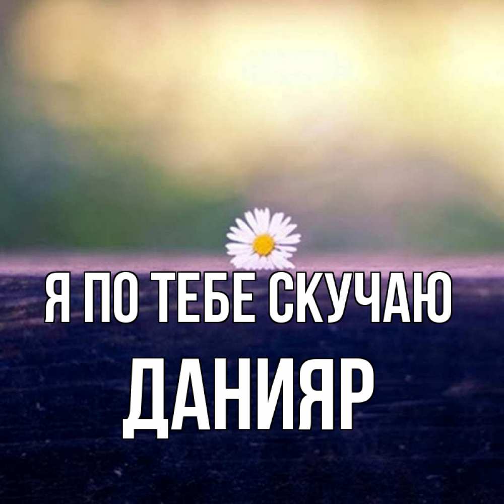 Данияр какое имя. Данияр какое имя