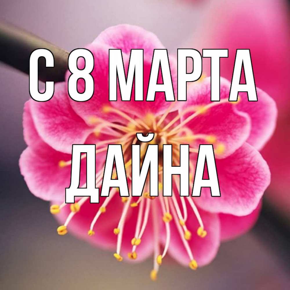 Картинка С 8 МАРТА, Дайна