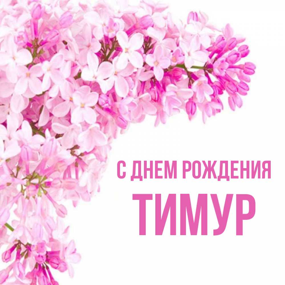 Картинки с днем рождения для тимура