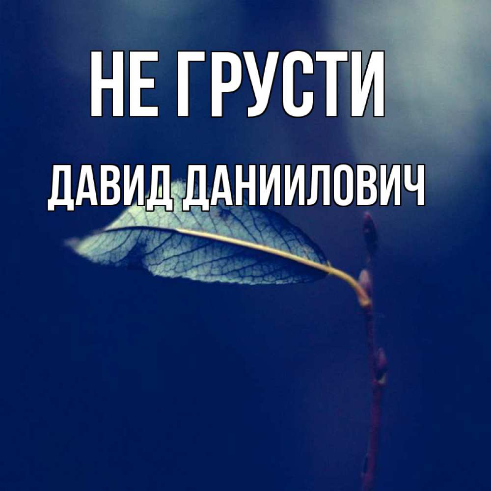 Открытка с именем, Давид Даниилович, Не грусти