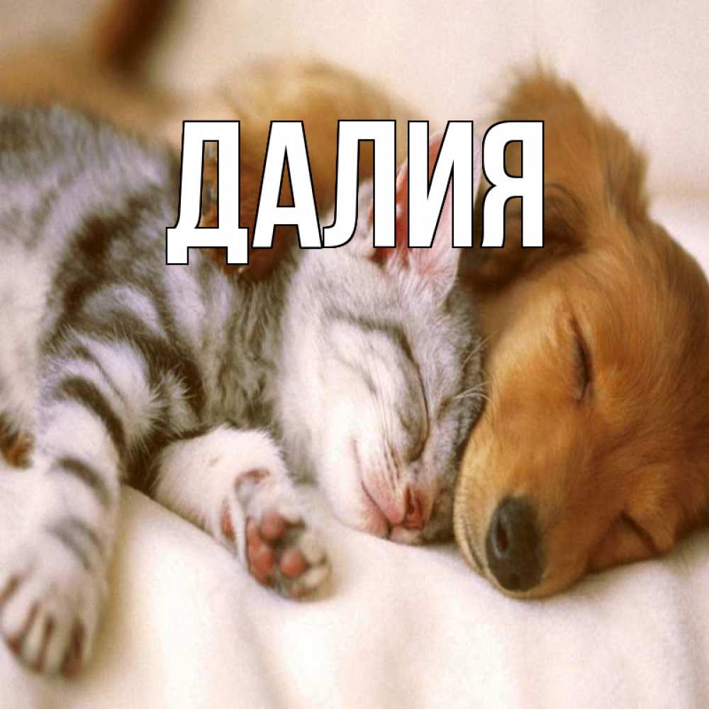 Картинка  с именем , Далия