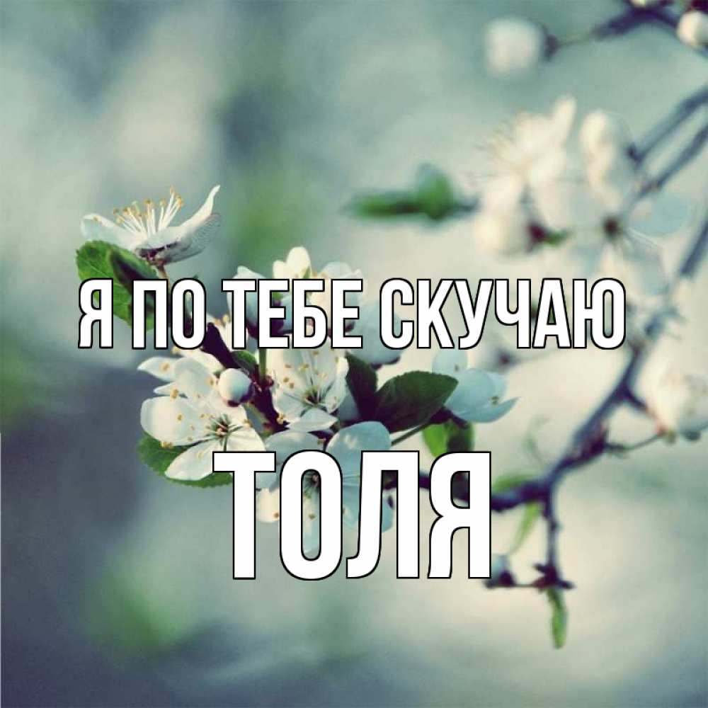 Открытка на каждый день с именем, Толя Я по тебе скучаю весна Прикольная открытка с пожеланием онлайн скачать бесплатно 