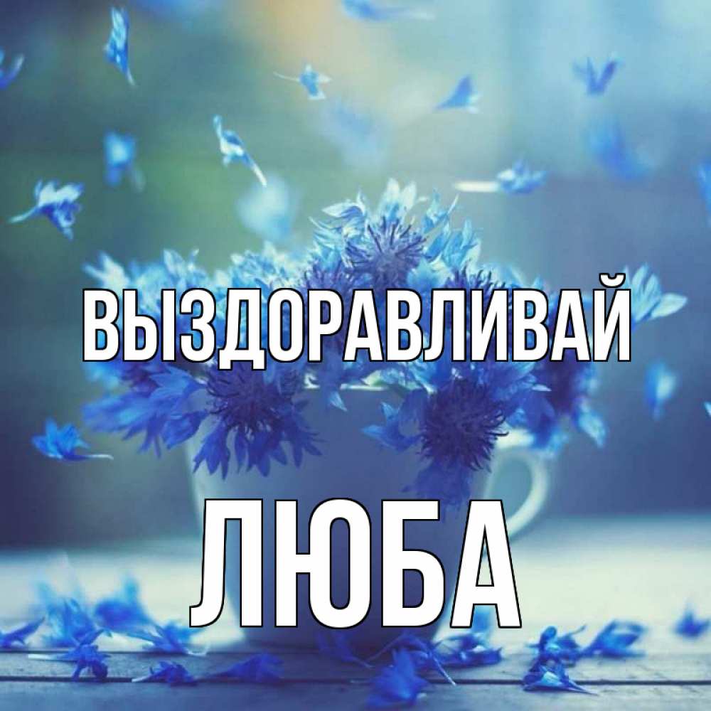 Любаша выздоравливай картинки