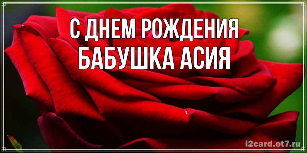 Открытка на каждый день с именем, Бабушка-Асия С днем рождения розочка очень красивая Прикольная открытка с пожеланием онлайн скачать бесплатно 