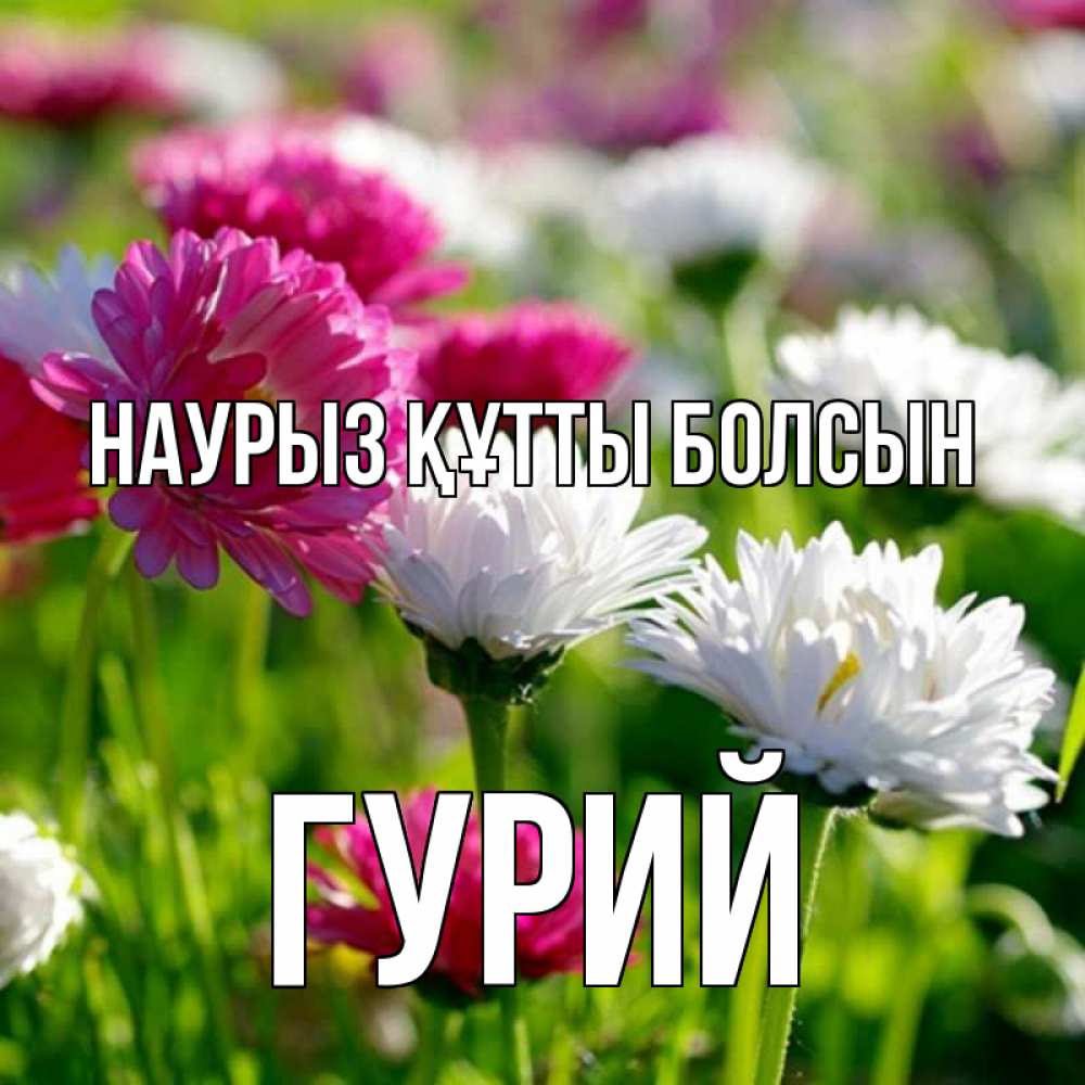 Открытка на каждый день с именем, Гурий Наурыз құтты болсын наурыз Прикольная открытка с пожеланием онлайн скачать бесплатно 