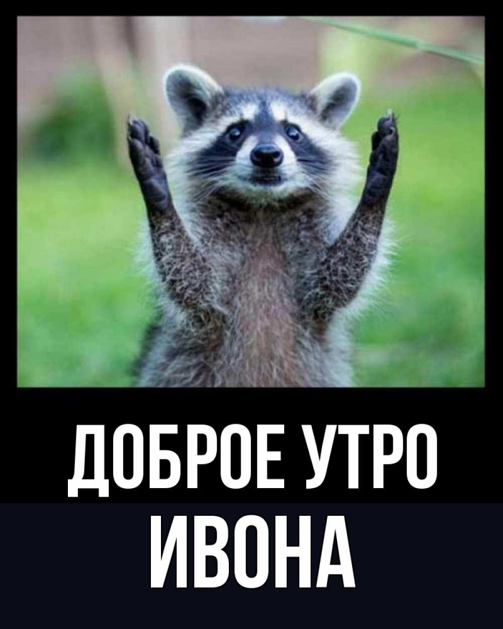 Открытка на каждый день с именем, Ивона Доброе утро хорошее настроение утречком Прикольная открытка с пожеланием онлайн скачать бесплатно 