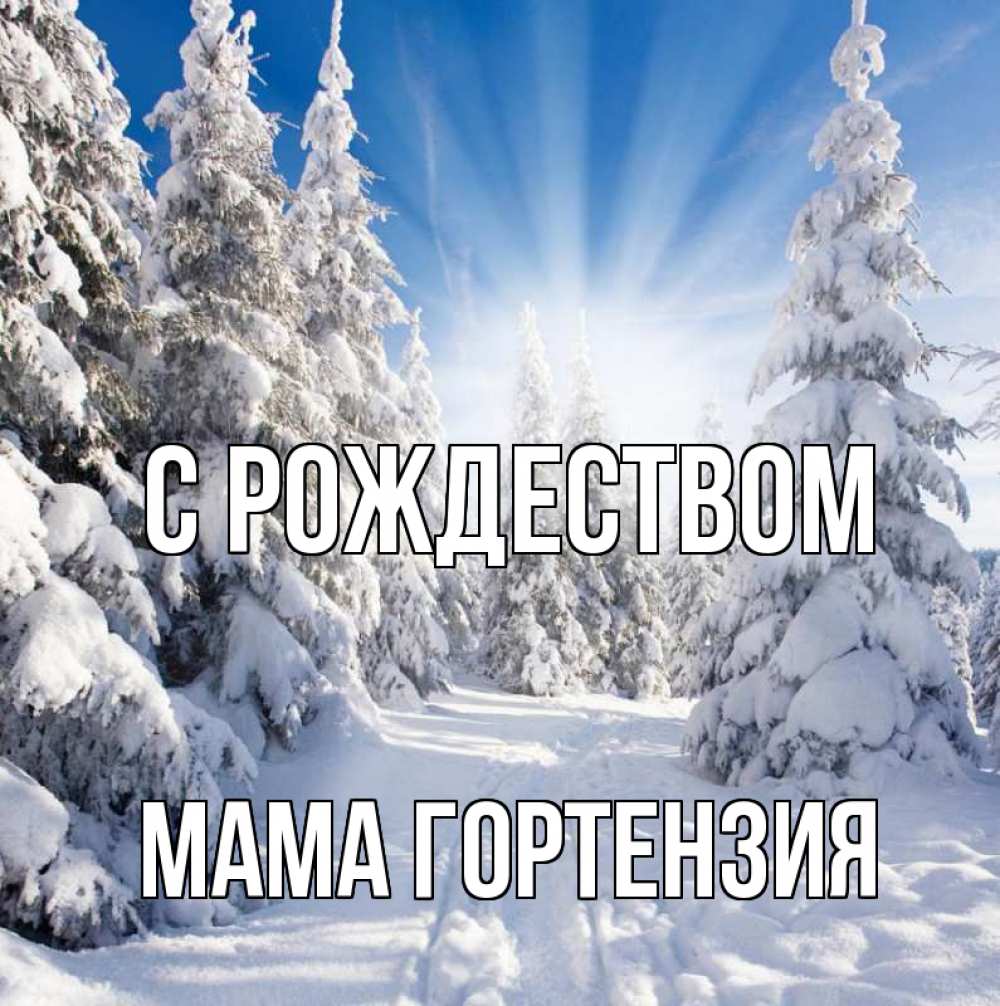 Открытка на каждый день с именем, Мама-Гортензия С рождеством зима, лес Прикольная открытка с пожеланием онлайн скачать бесплатно 
