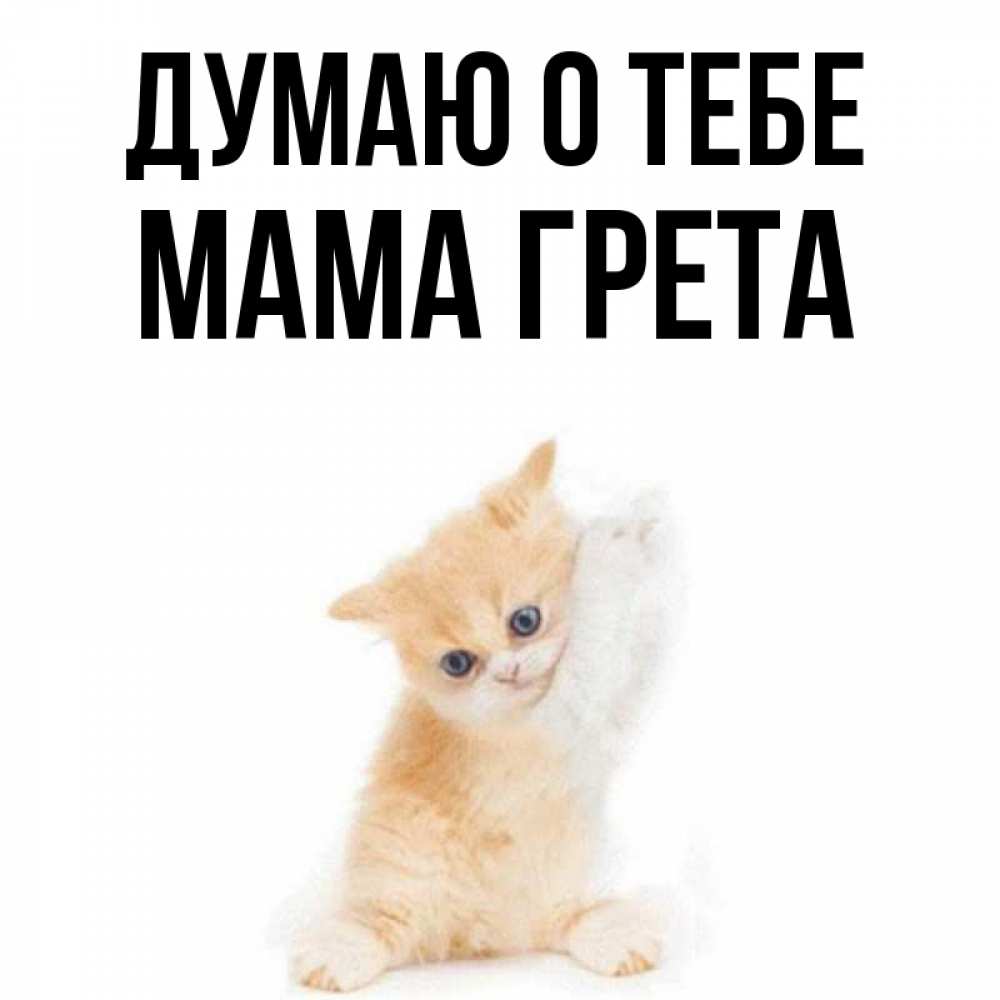 Открытка на каждый день с именем, Мама-Грета Думаю о тебе зверушки и милота Прикольная открытка с пожеланием онлайн скачать бесплатно 