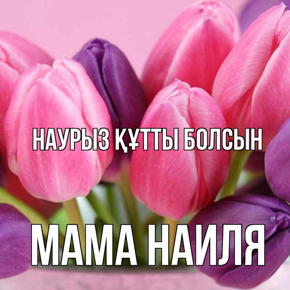 Открытка на каждый день с именем, Мама-Наиля Наурыз құтты болсын маме 1 Прикольная открытка с пожеланием онлайн скачать бесплатно 