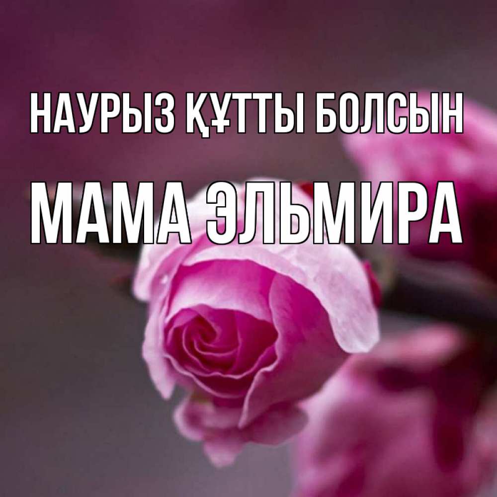 Открытка на каждый день с именем, Мама-Эльмира Наурыз құтты болсын весна Прикольная открытка с пожеланием онлайн скачать бесплатно 
