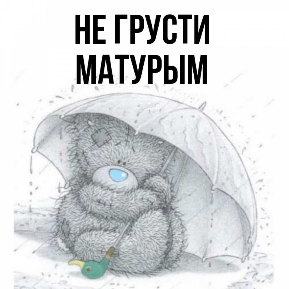 Открытка на каждый день с именем, Матурым Не грусти спасите мишку Тедди Прикольная открытка с пожеланием онлайн скачать бесплатно 