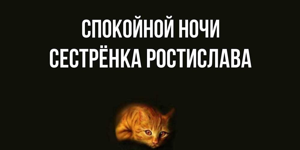 Открытка на каждый день с именем, Сестрёнка-Ростислава Спокойной ночи кот Прикольная открытка с пожеланием онлайн скачать бесплатно 