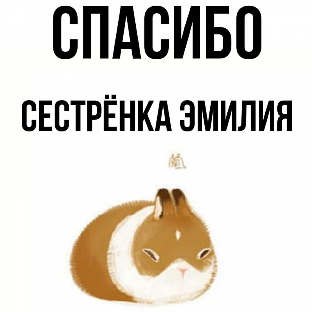 Открытка на каждый день с именем, Сестрёнка-Эмилия Спасибо коричнево белый домашний питомец Прикольная открытка с пожеланием онлайн скачать бесплатно 