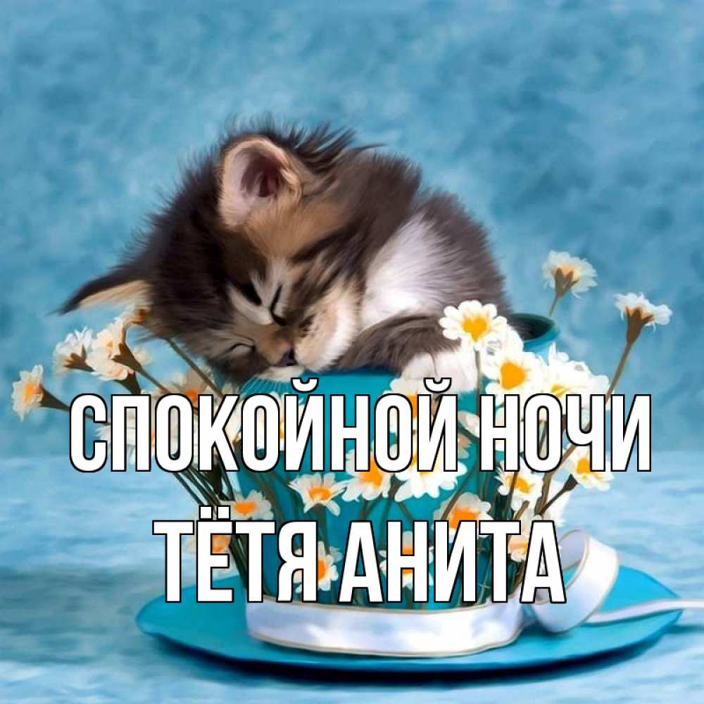 Открытка на каждый день с именем, Тётя-Анита Спокойной ночи котенок спит в кружке с блюдцем Прикольная открытка с пожеланием онлайн скачать бесплатно 