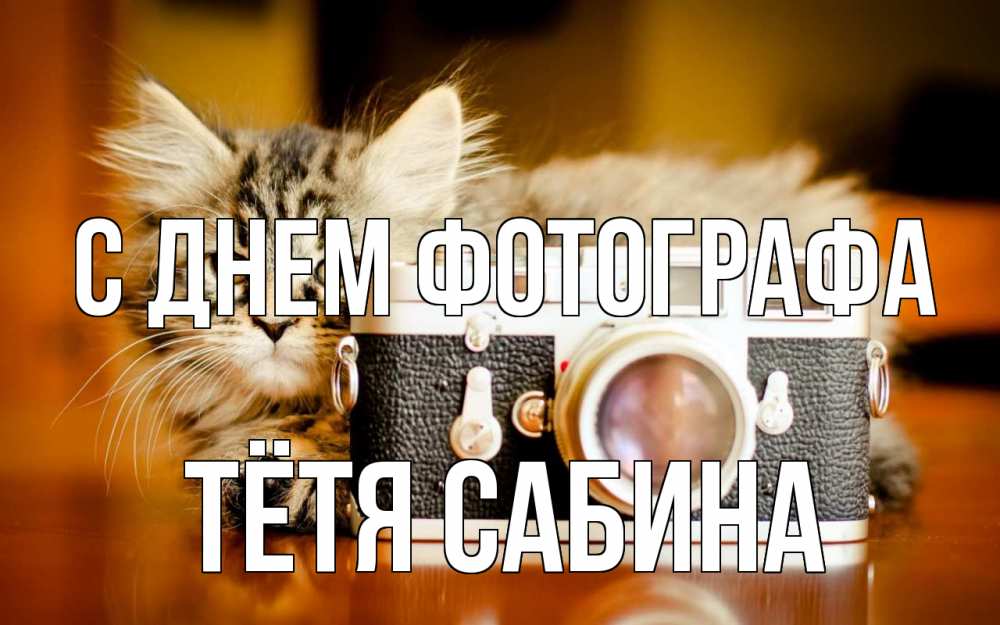 Открытка на каждый день с именем, Тётя-Сабина С днем фотографа с днем фотографа Прикольная открытка с пожеланием онлайн скачать бесплатно 