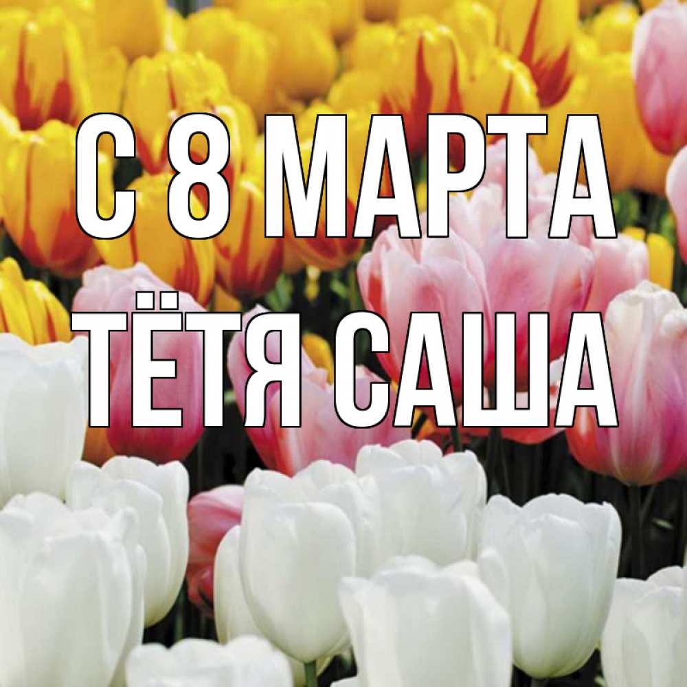 Открытка на каждый день с именем, Тётя-Саша С 8 МАРТА разноцветные цветы Прикольная открытка с пожеланием онлайн скачать бесплатно 