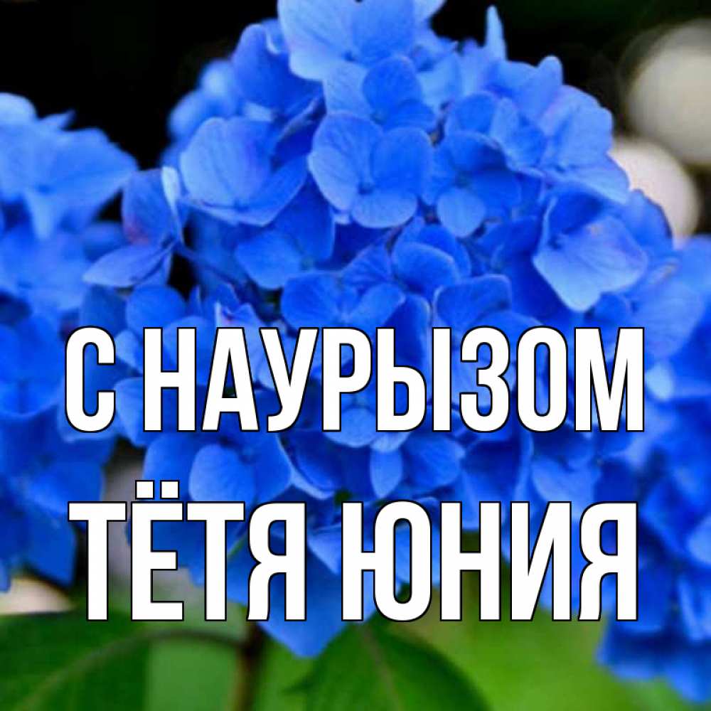 Открытка на каждый день с именем, Тётя-Юния С наурызом синие цветы Прикольная открытка с пожеланием онлайн скачать бесплатно 
