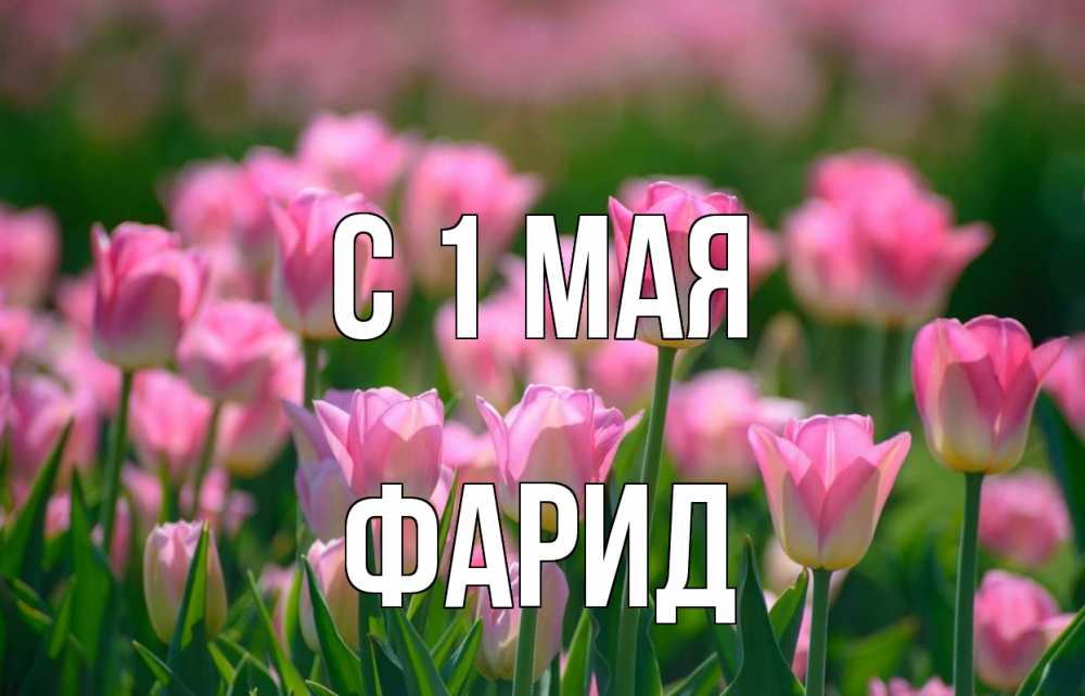 Открытка на каждый день с именем, Фарид С 1 мая С 1 мая Прикольная открытка с пожеланием онлайн скачать бесплатно 