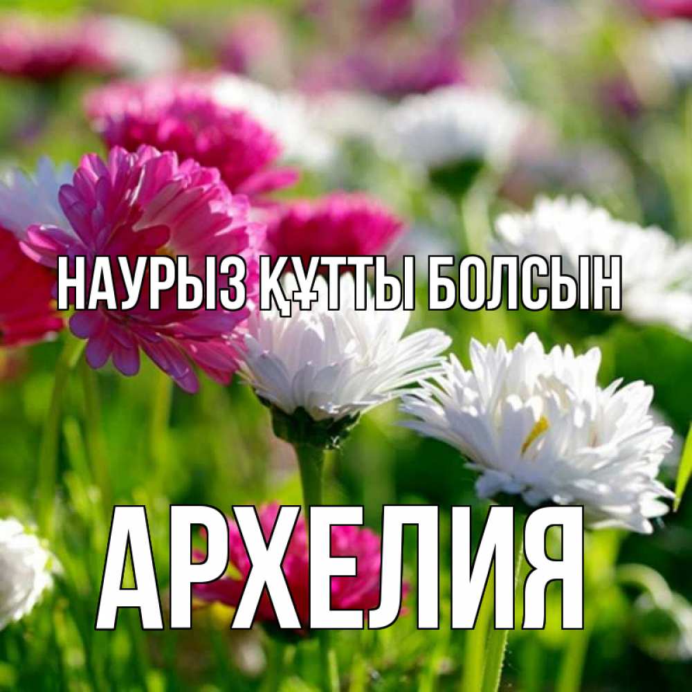 Открытка на каждый день с именем, Архелия Наурыз құтты болсын наурыз Прикольная открытка с пожеланием онлайн скачать бесплатно 