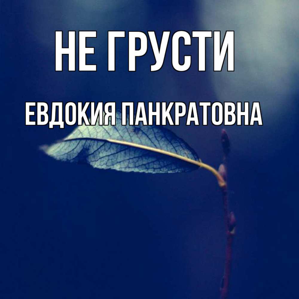 Картинка Не грусти, Евдокия Панкратовна