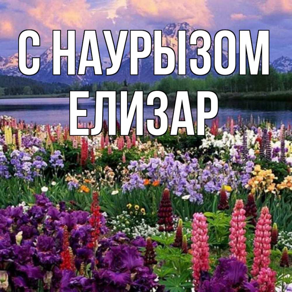 Открытка на каждый день с именем, Елизар С наурызом праздник весны наурыз Прикольная открытка с пожеланием онлайн скачать бесплатно 