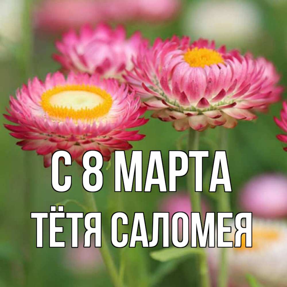 Открытка на каждый день с именем, Тётя-Саломея С 8 марта подарок на международный женский день Прикольная открытка с пожеланием онлайн скачать бесплатно 