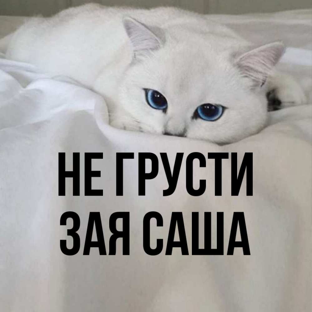 Картинка грустная зая