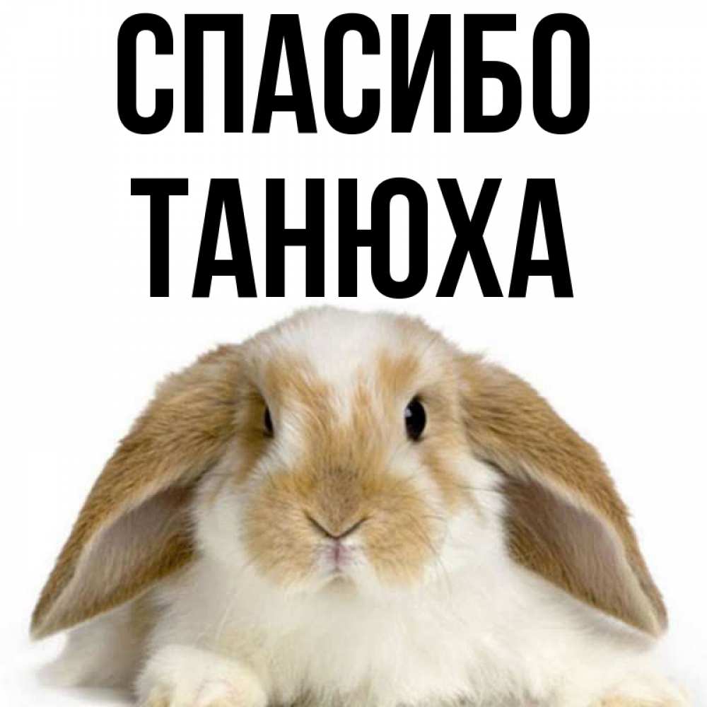 Танюха привет картинки