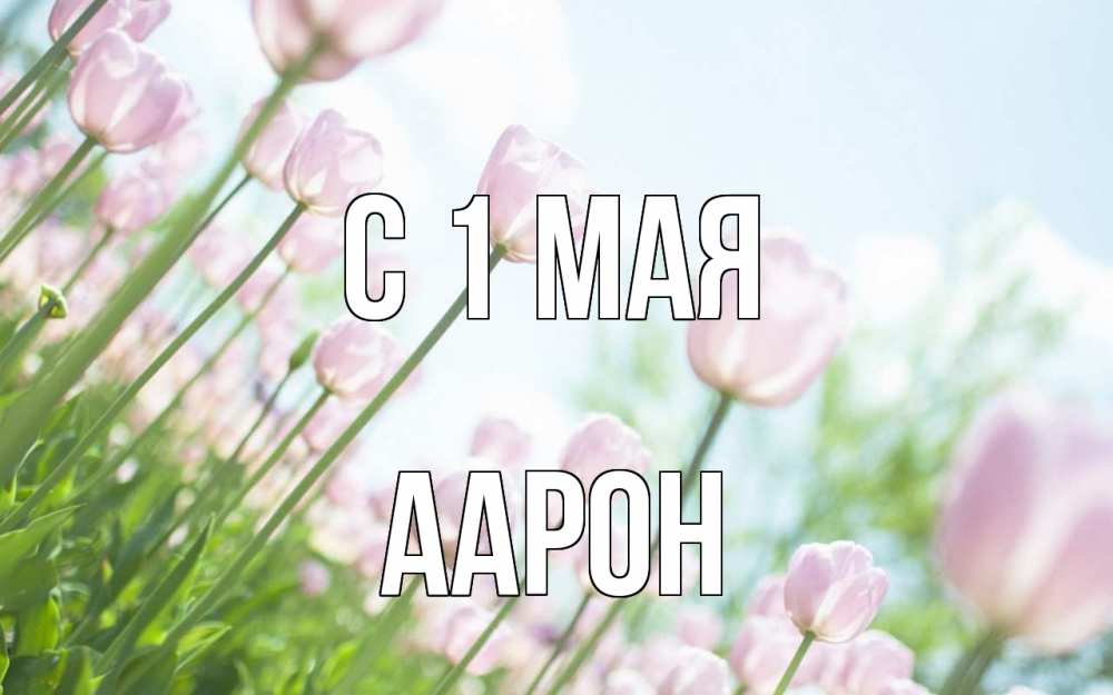 Открытка на каждый день с именем, Аарон С 1 мая С 1 мая Прикольная открытка с пожеланием онлайн скачать бесплатно 
