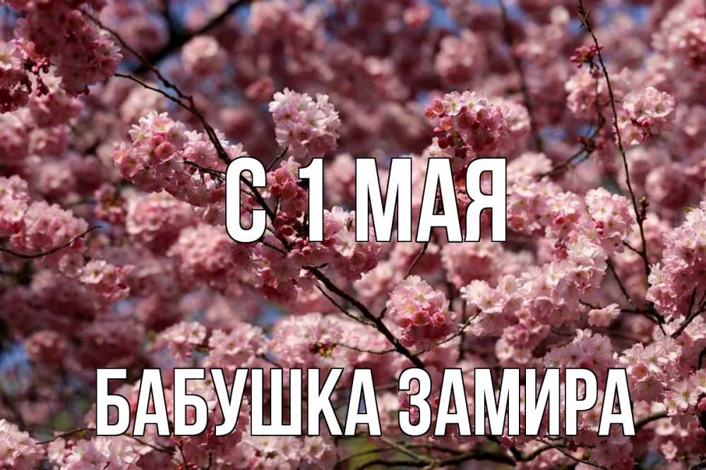 Открытка на каждый день с именем, Бабушка-Замира С 1 мая С 1 мая Прикольная открытка с пожеланием онлайн скачать бесплатно 