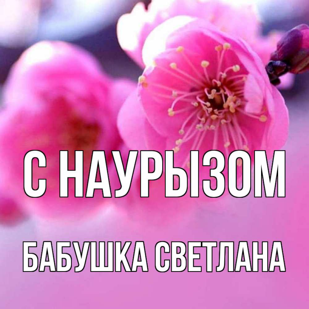 Открытка на каждый день с именем, Бабушка-Светлана С наурызом международный женский день Прикольная открытка с пожеланием онлайн скачать бесплатно 