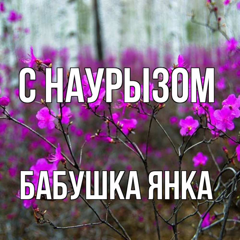 Открытка на каждый день с именем, Бабушка-Янка С наурызом дикие цветы Прикольная открытка с пожеланием онлайн скачать бесплатно 