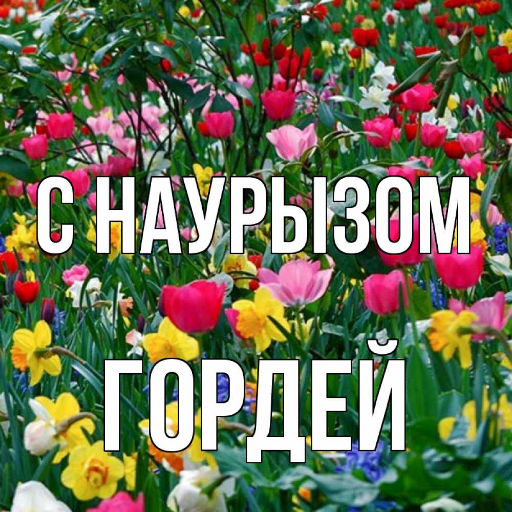 Открытка на каждый день с именем, Гордей С наурызом с наурызом праздником весны поздравления для женщины Прикольная открытка с пожеланием онлайн скачать бесплатно 