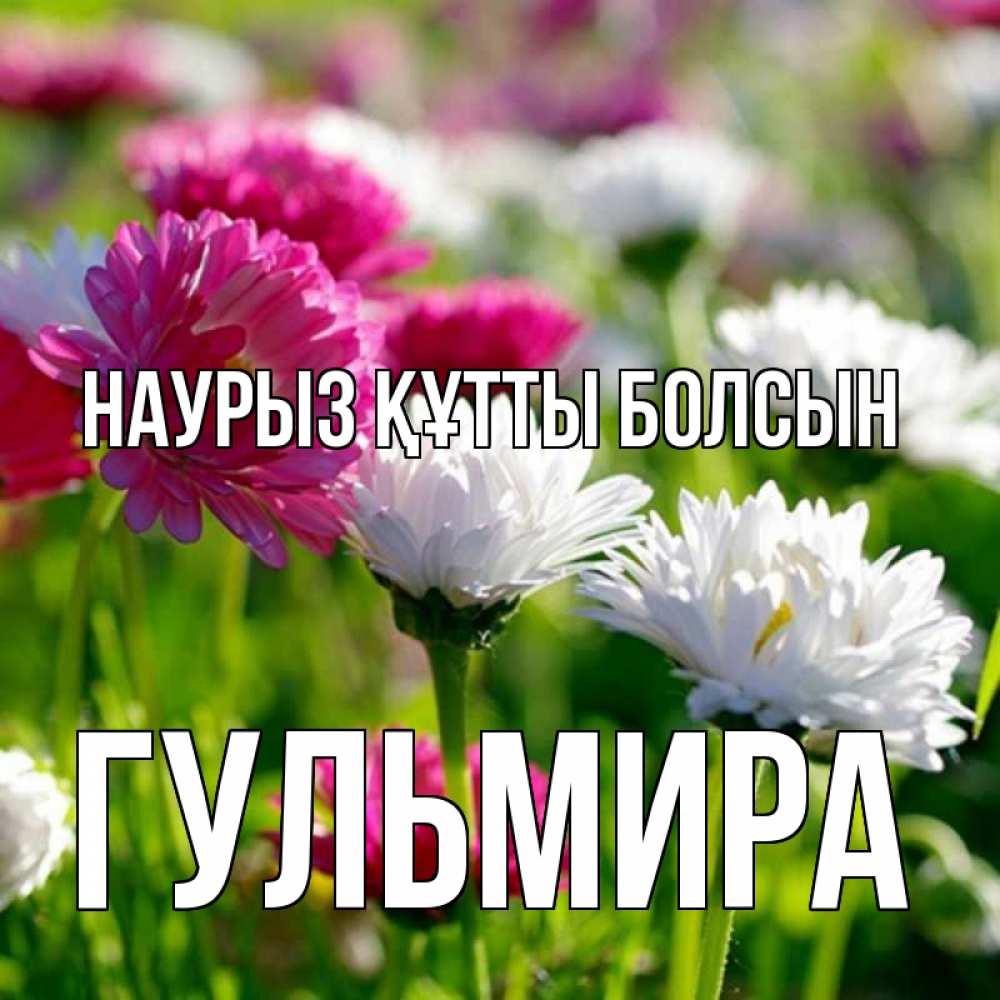 Открытка на каждый день с именем, Гульмира Наурыз құтты болсын наурыз Прикольная открытка с пожеланием онлайн скачать бесплатно 