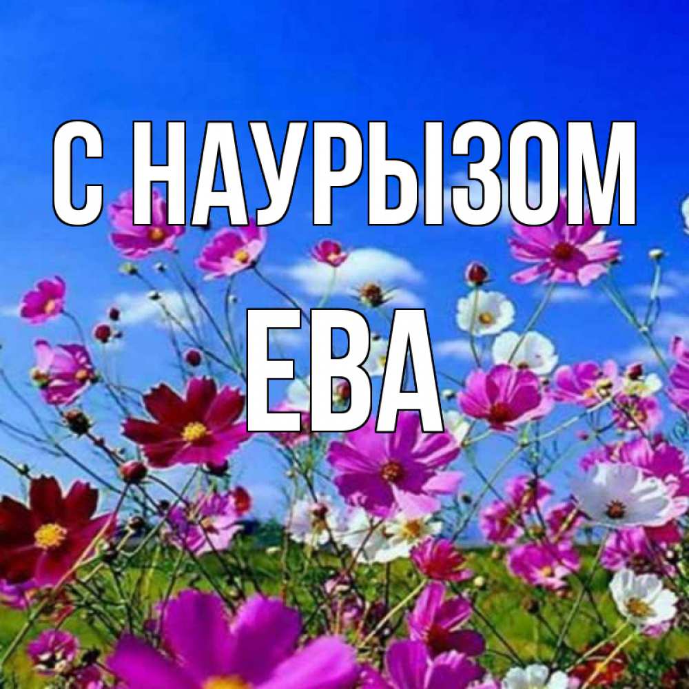 Открытка на каждый день с именем, Ева С наурызом цветы Прикольная открытка с пожеланием онлайн скачать бесплатно 